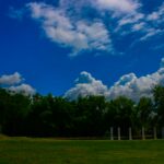 Environment - RMA